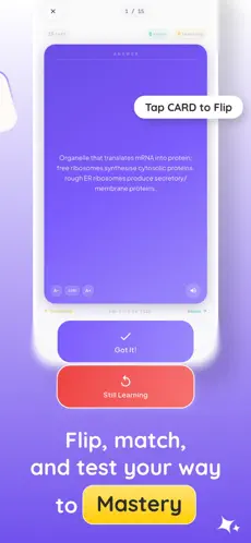 Flashie: An AI Flashcard App for Serious Learners screenshot 4